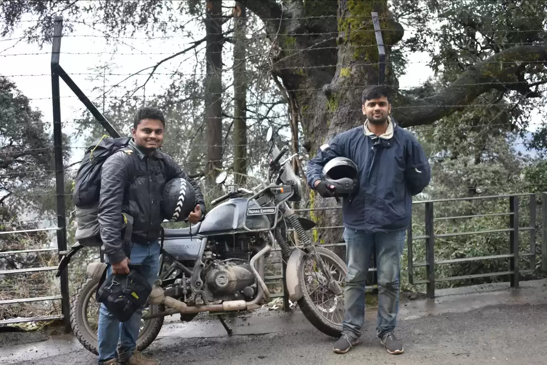 Photo of Shimla dairies😍✌