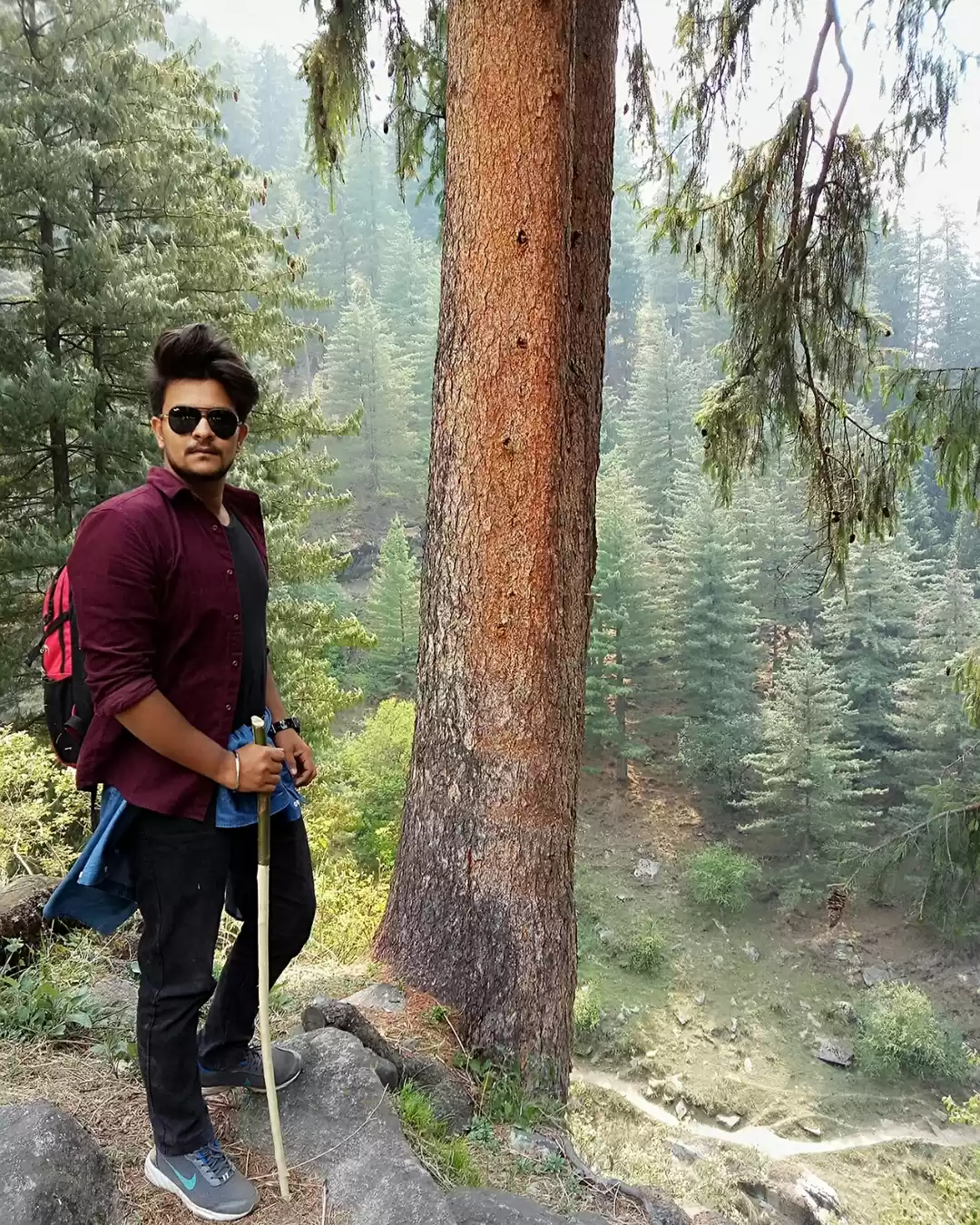 Photo of himalayan_ chain