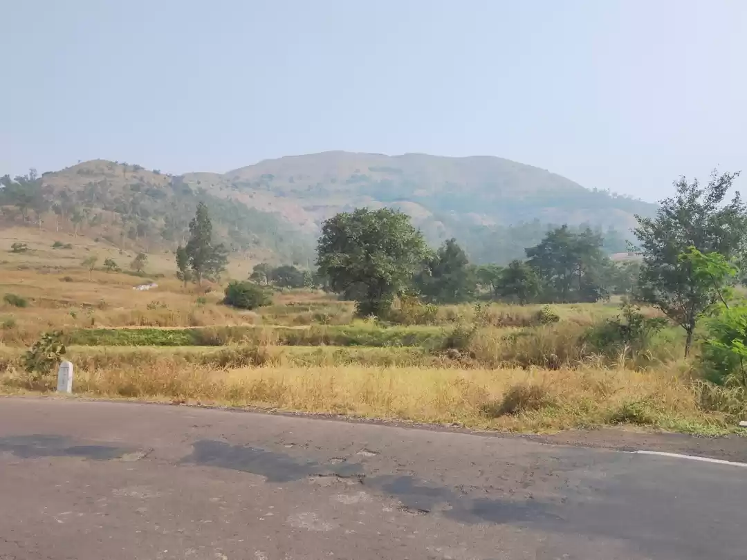 Photo of Trekking to Rajgarh