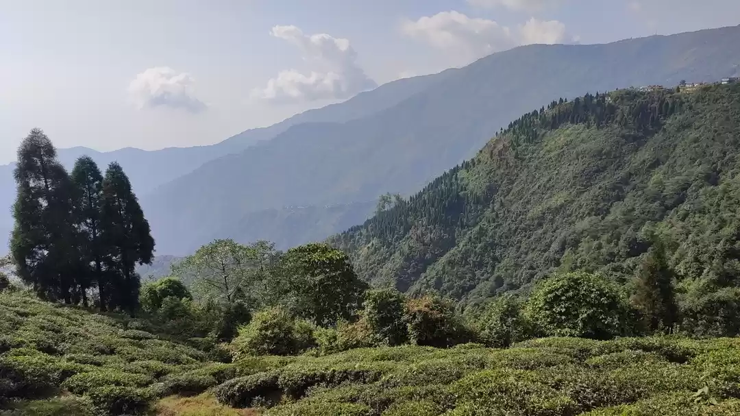 Photo of Mountains #naturelov