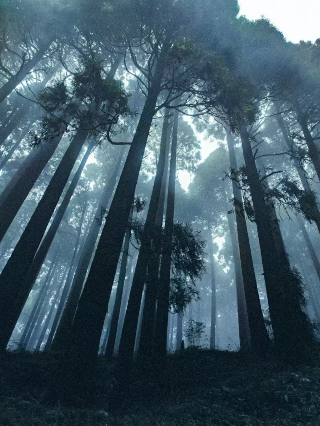 Photo of Relling and Kashyone