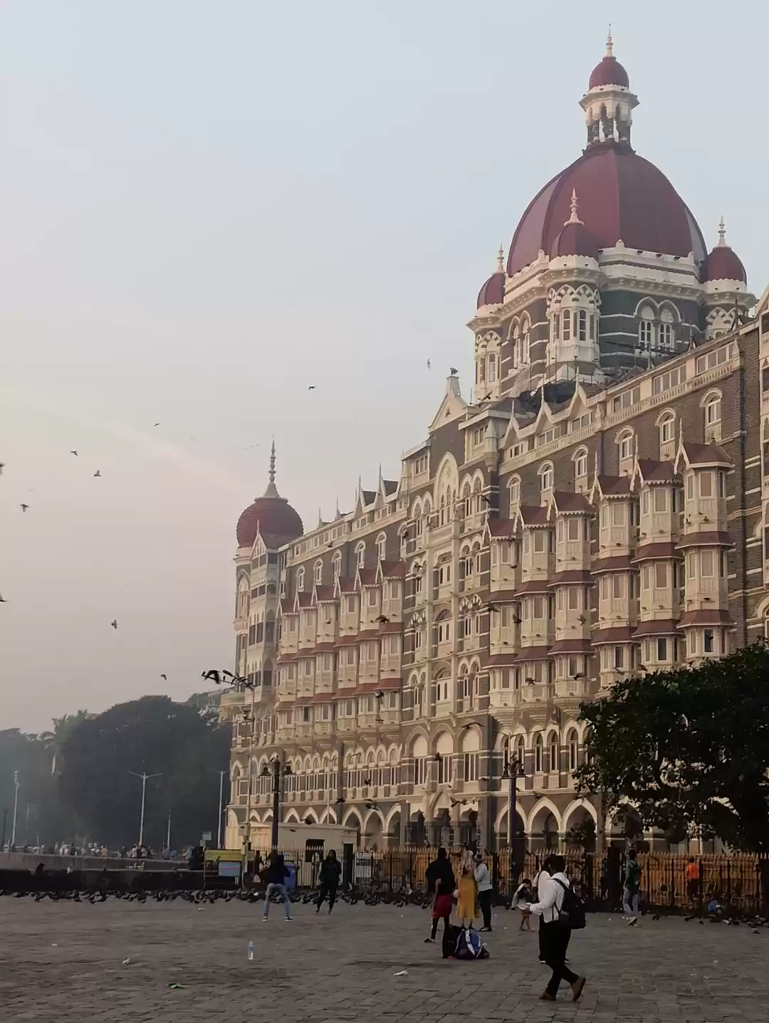 Photo of A legend in itself..