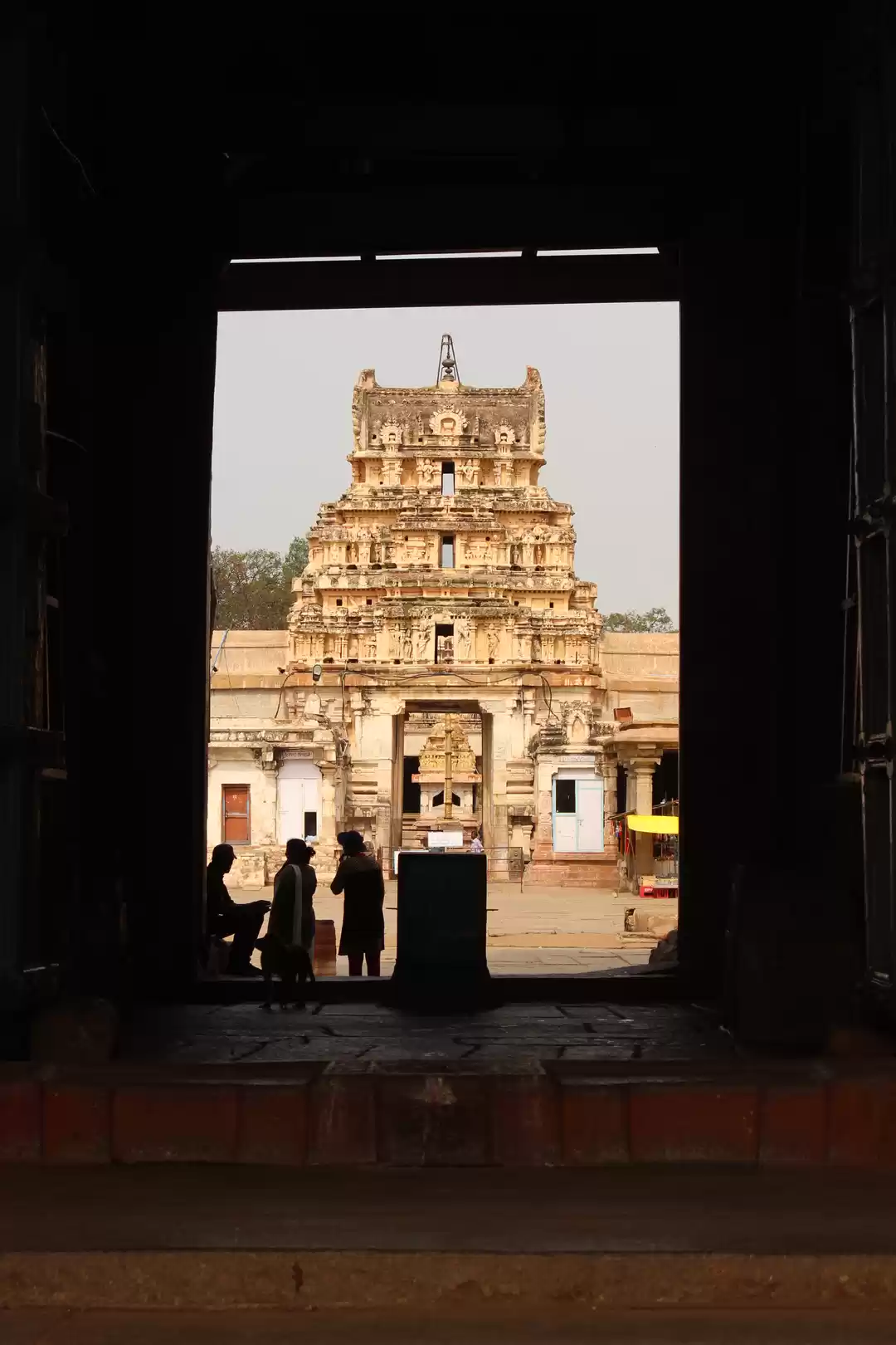 Photo of Tripping It Solo In 