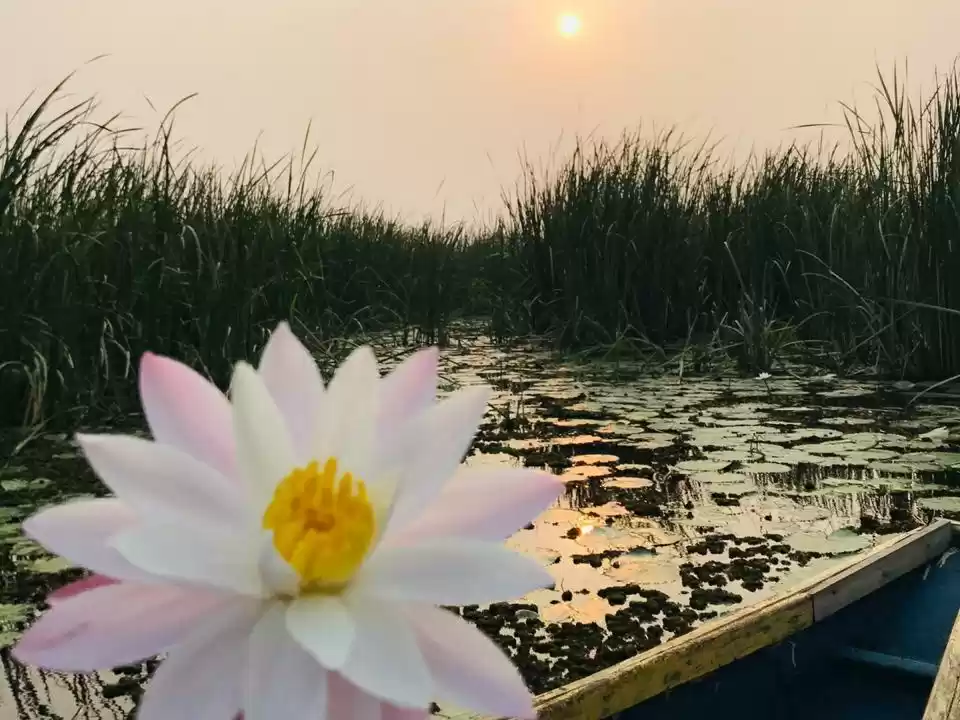 Photo of Been a guest of Nymp