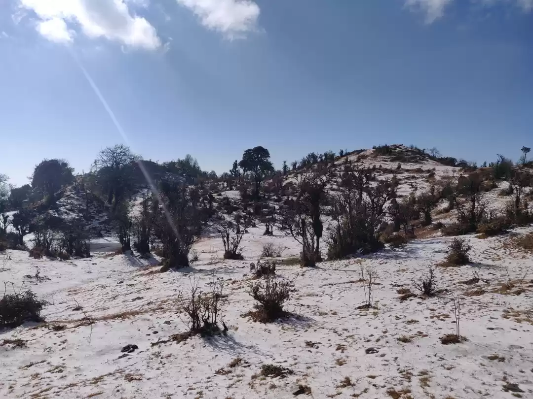 Photo of Trek to Sandakhphu