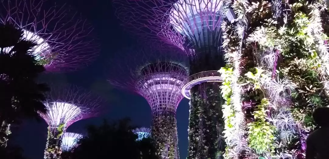 Photo of Enthralling Singapur