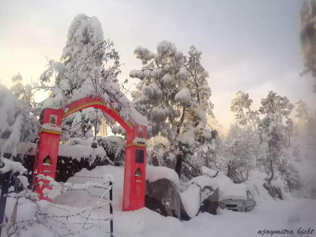 Photo of Around Almora - The 