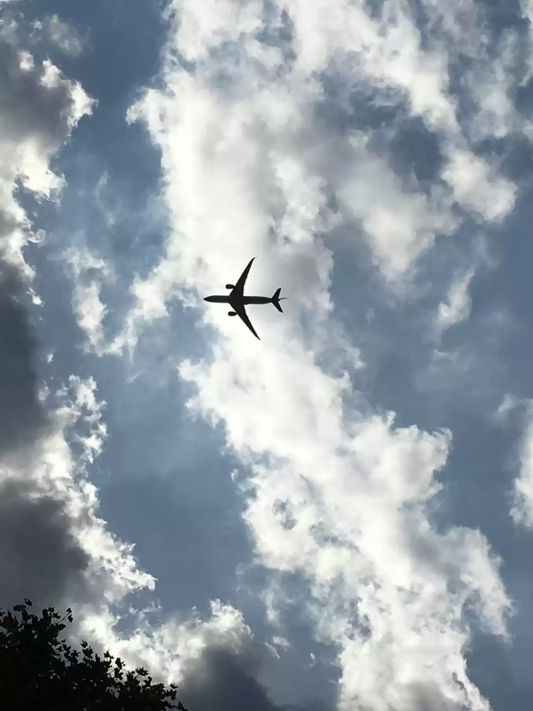 Photo of Better the 'Tourist'