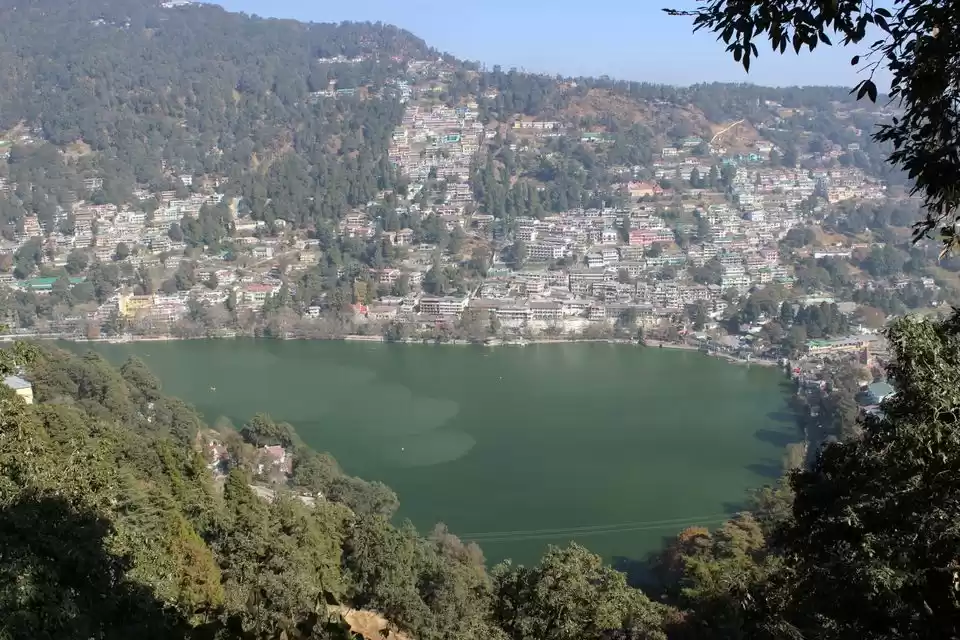 Photo of One year down ,forev