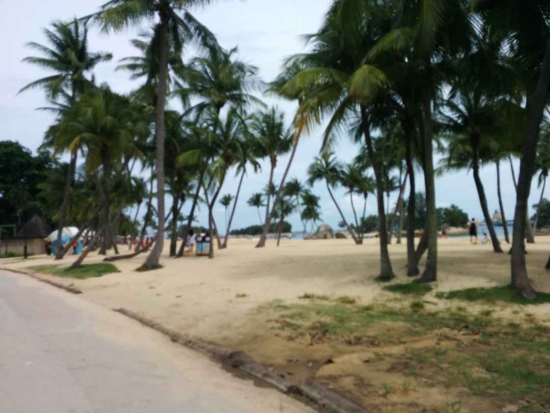 Photo of My Singapore Diary