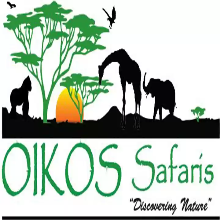 Photo of Oikos Safaris