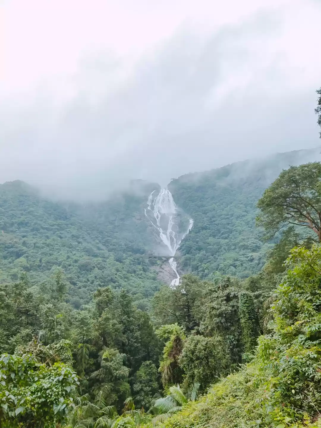 Photo of Awesome #Dudhsagar