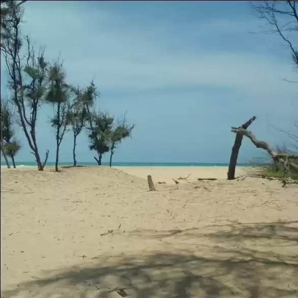 Photo of Pranav Madathil