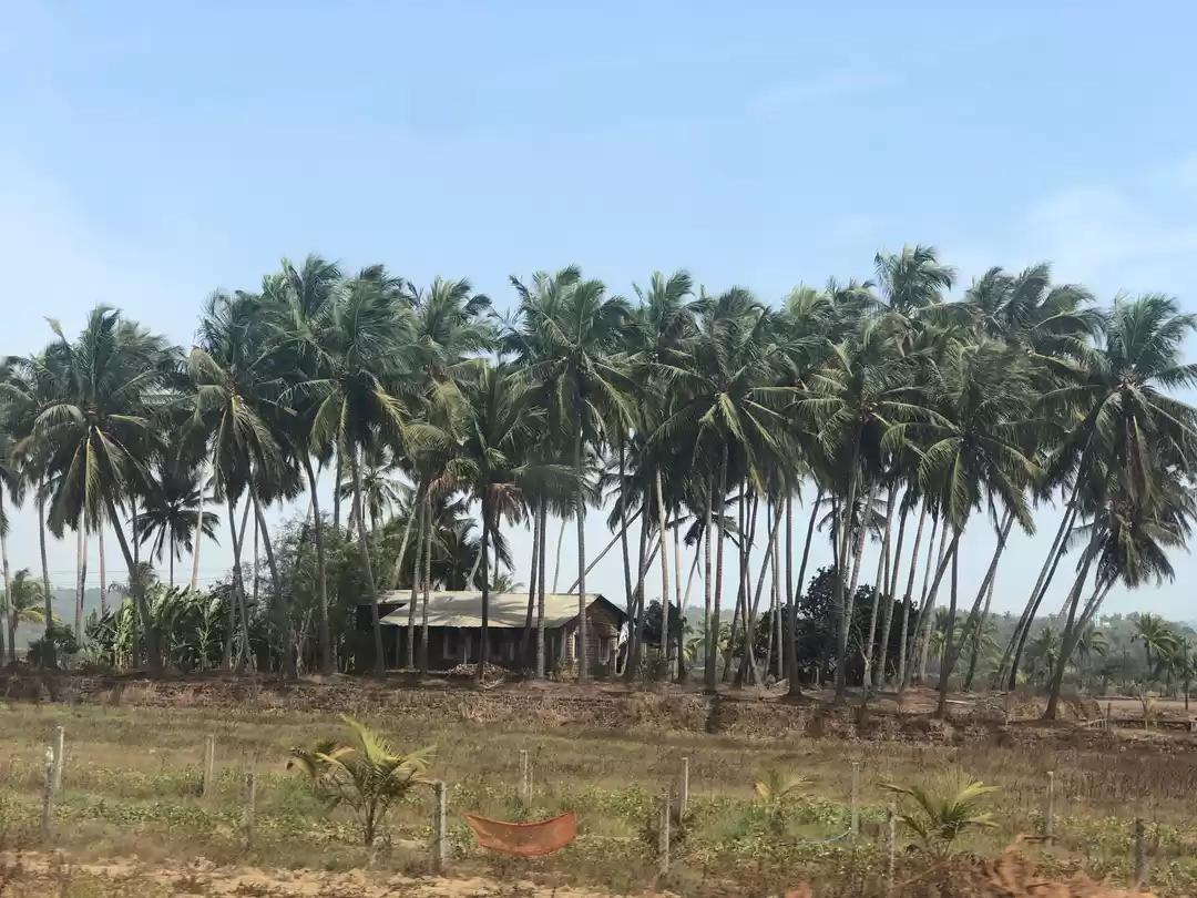 Photo of Intriguing Goa