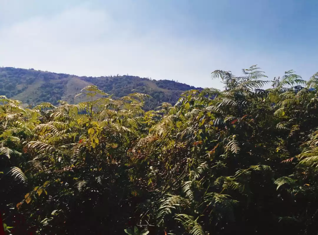 Photo of Scotland of India on