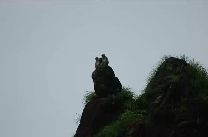 Photo of The escape plan...