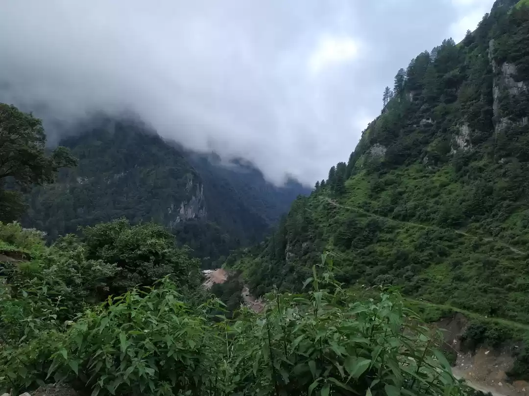 Photo of Vyas valley beauty 