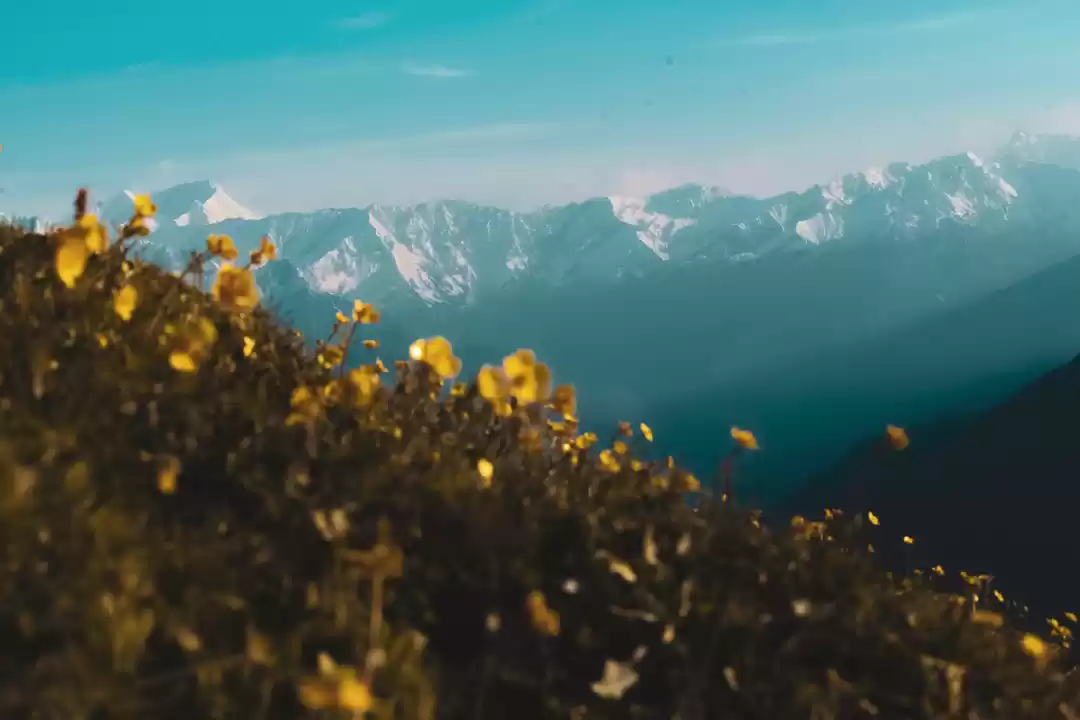 Photo of Chanderkhani Pass