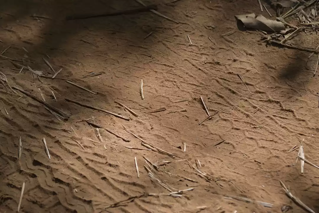 Photo of My Visit to Centre o