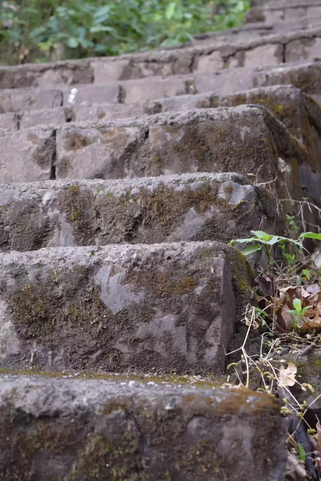 Photo of Cool and Fun One Day