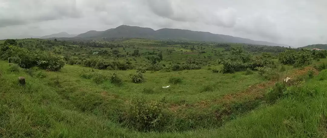 Photo of One-Dayers are the b