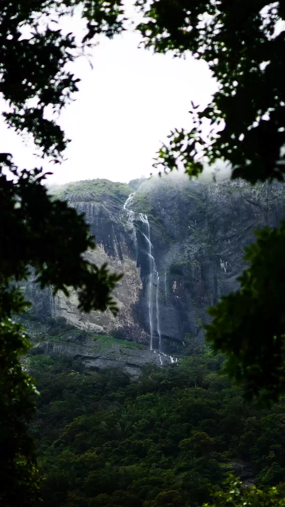 Photo of Nelliyampathy in Mon