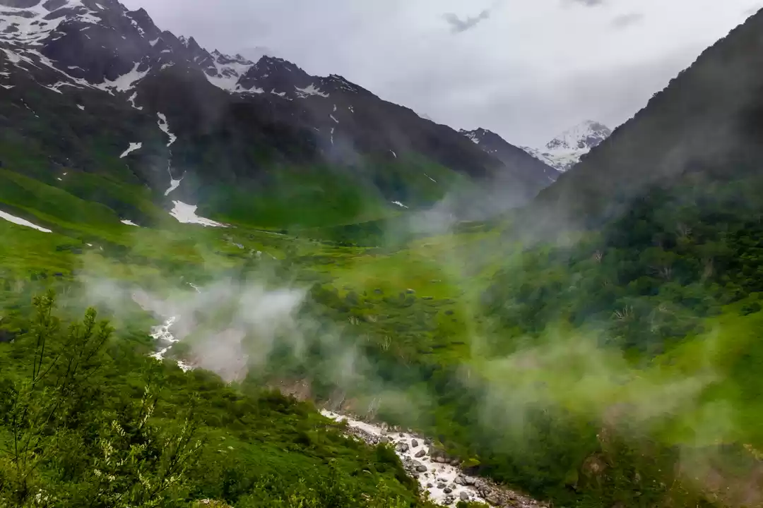 Photo of Valley of Flowers an