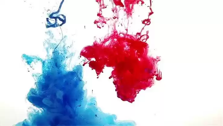 Photo of vaishali pande