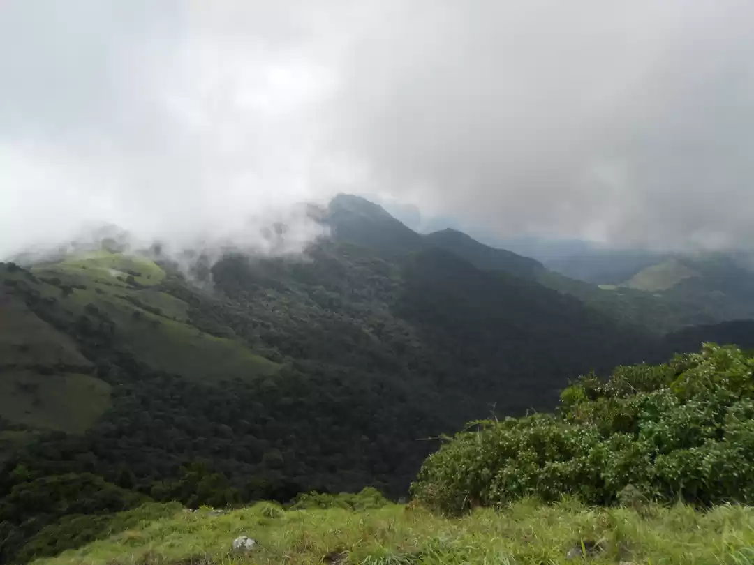 Photo of Trek to Tandiandamol