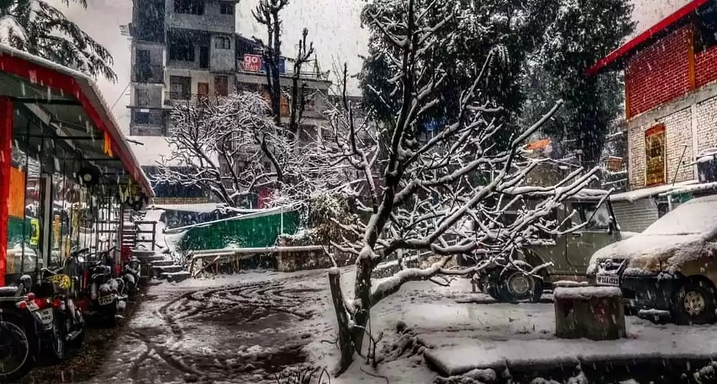 Photo of Old Manali- Hip Mana