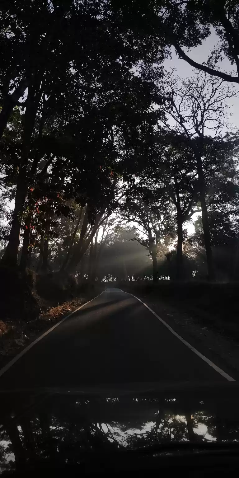 Photo of What comes to my min