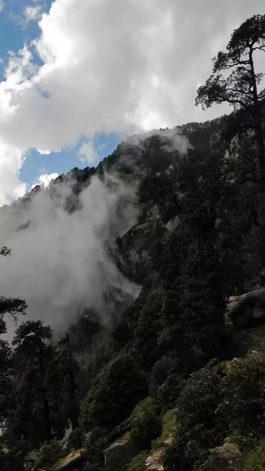 Photo of Triund, the place wh