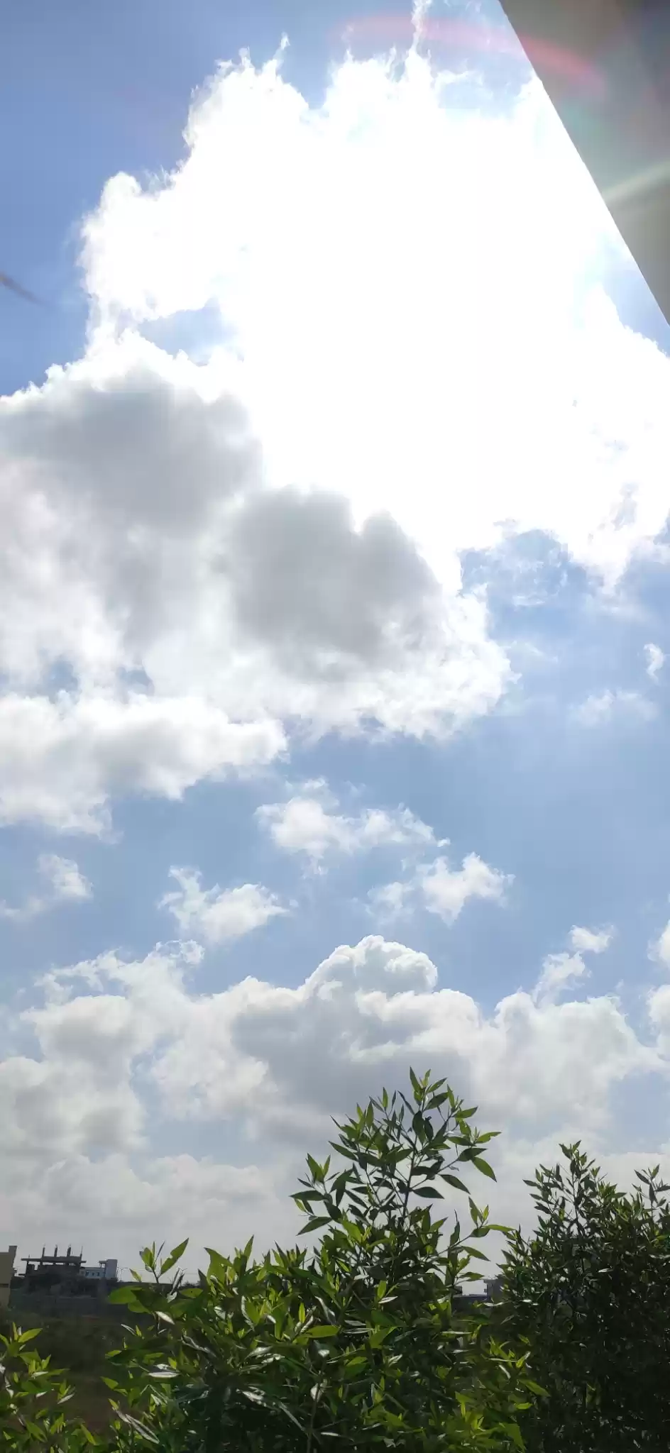 Photo of Cotton candy