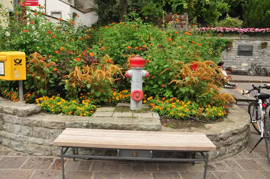 Photo of An old-fashioned Mee