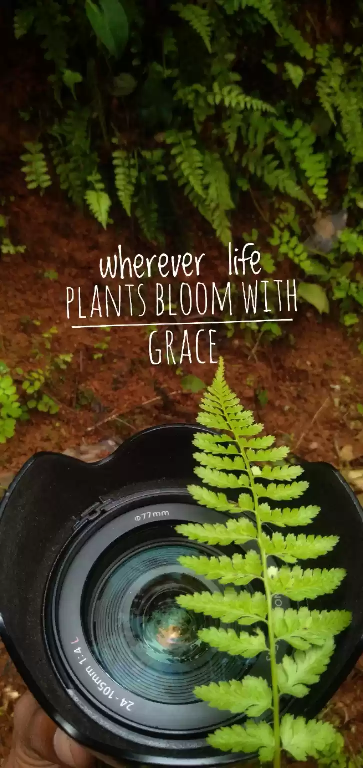 Photo of ARUN SHILPA