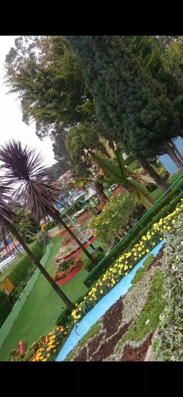 Photo of Rose garden - ooty