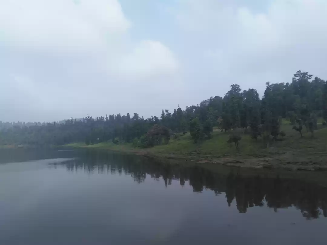 Photo of Dang Wildlife Sanctu