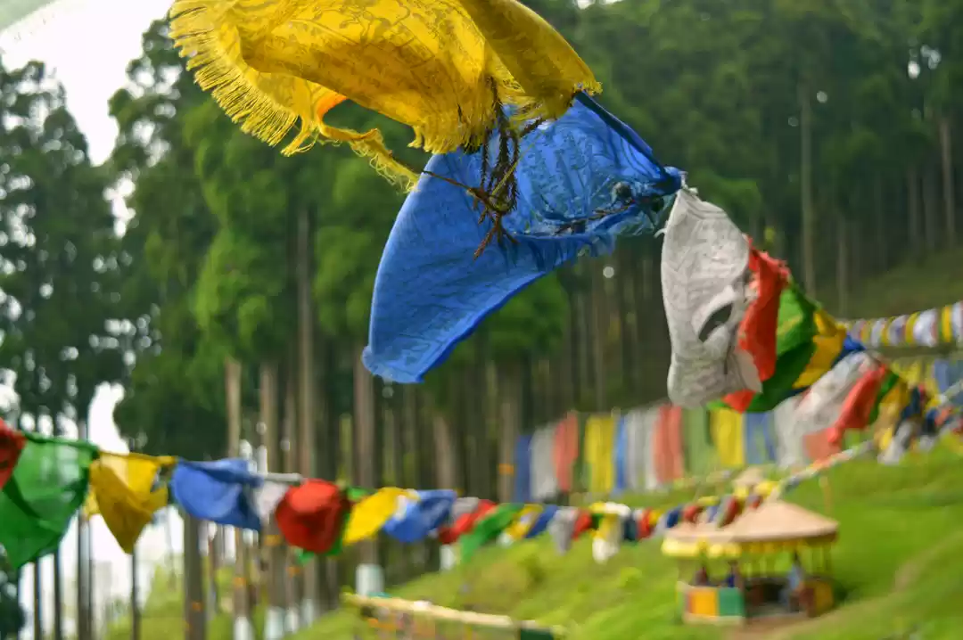 Photo of Sikkim's treasured H