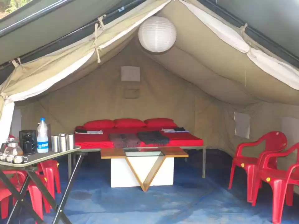 Photo of Camping near Mumbai 