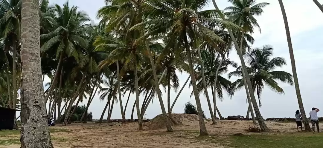 Photo of Teardrop of India