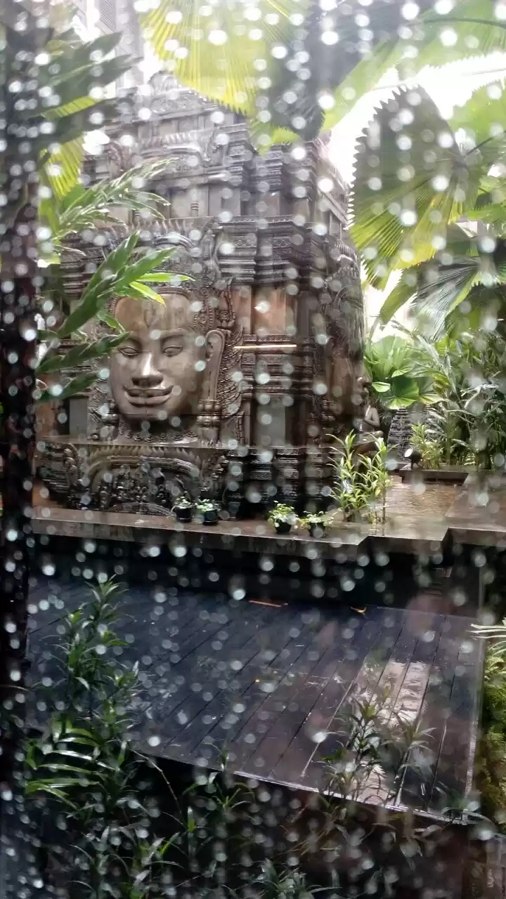 Photo of Panda in Cambodia