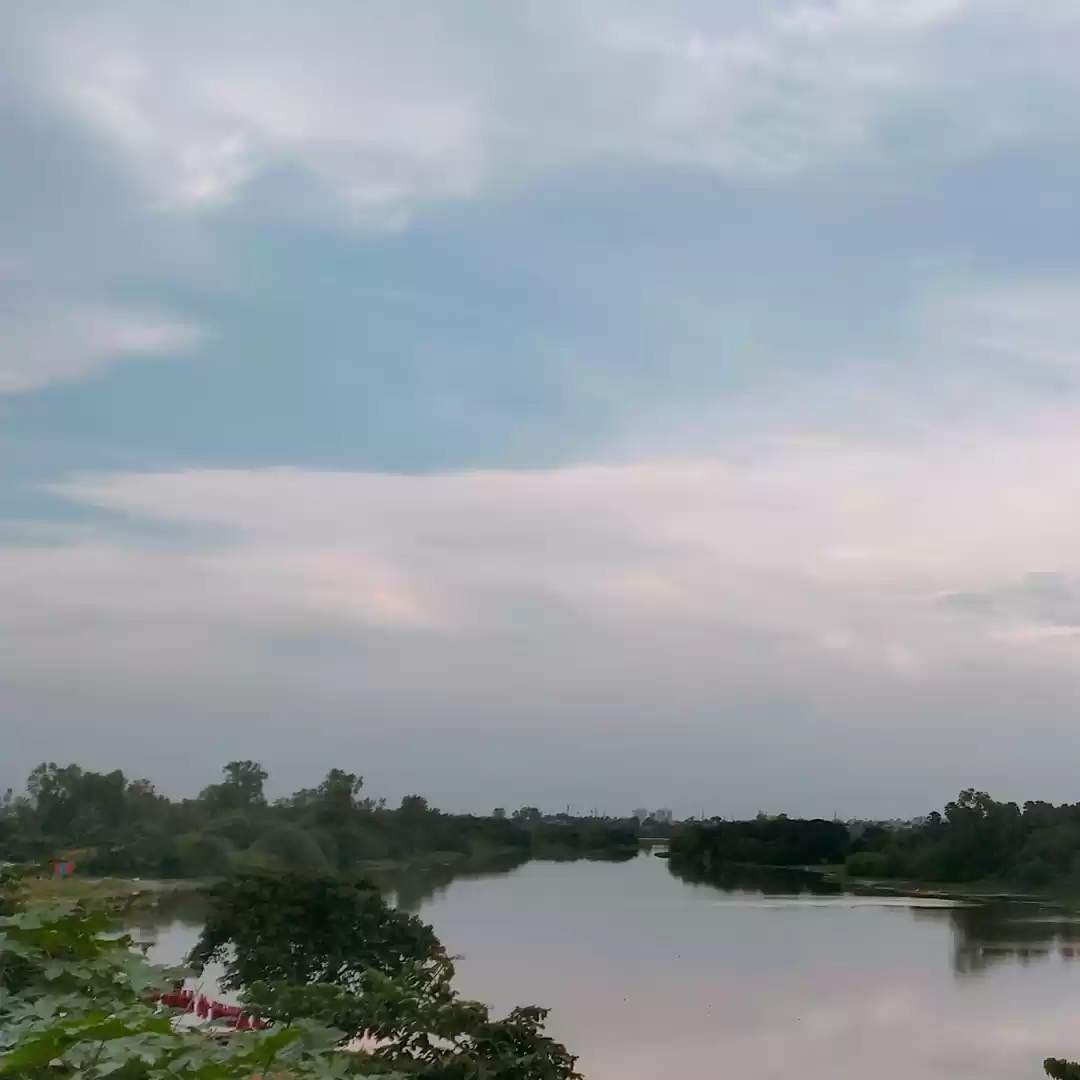 Photo of Insanis drole funny videos