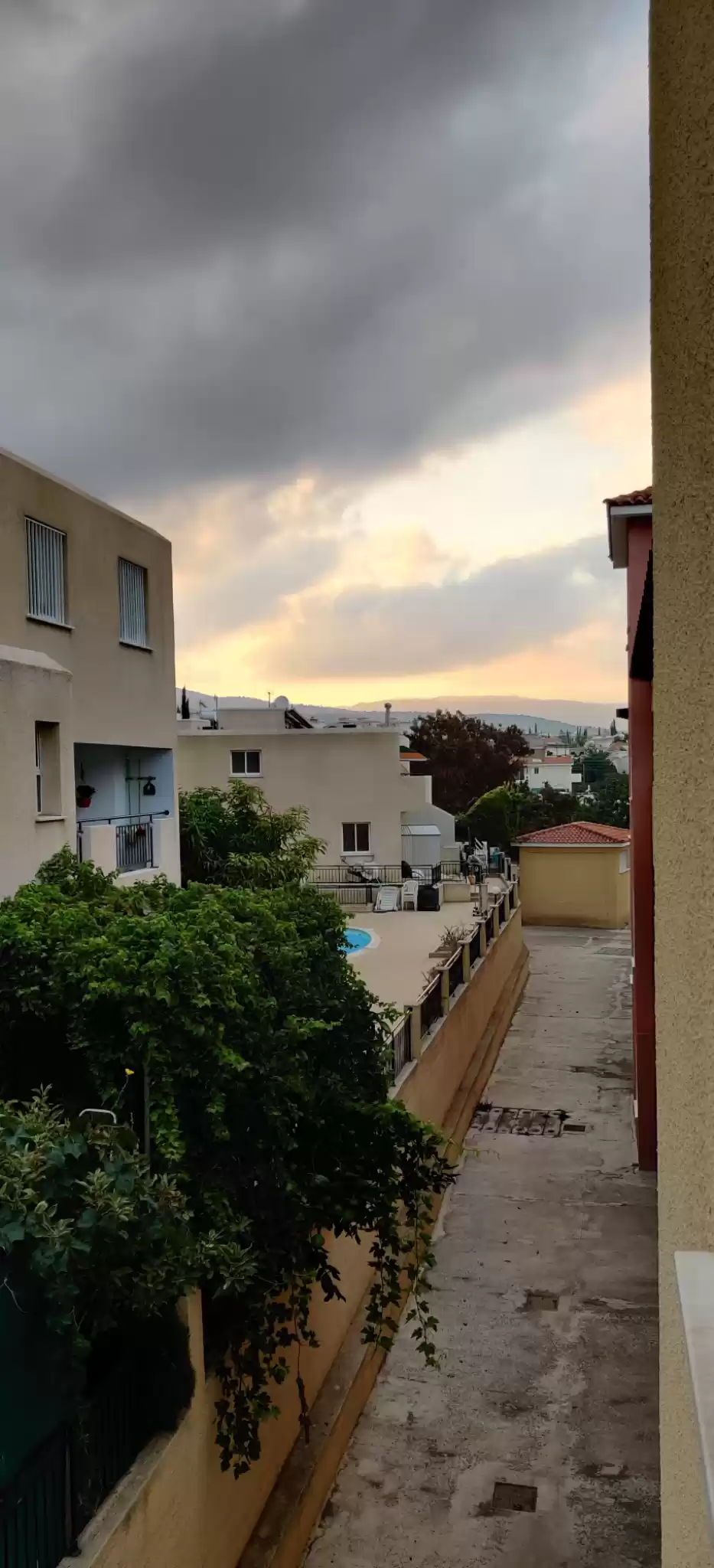 Photo of Alluring Colors of C