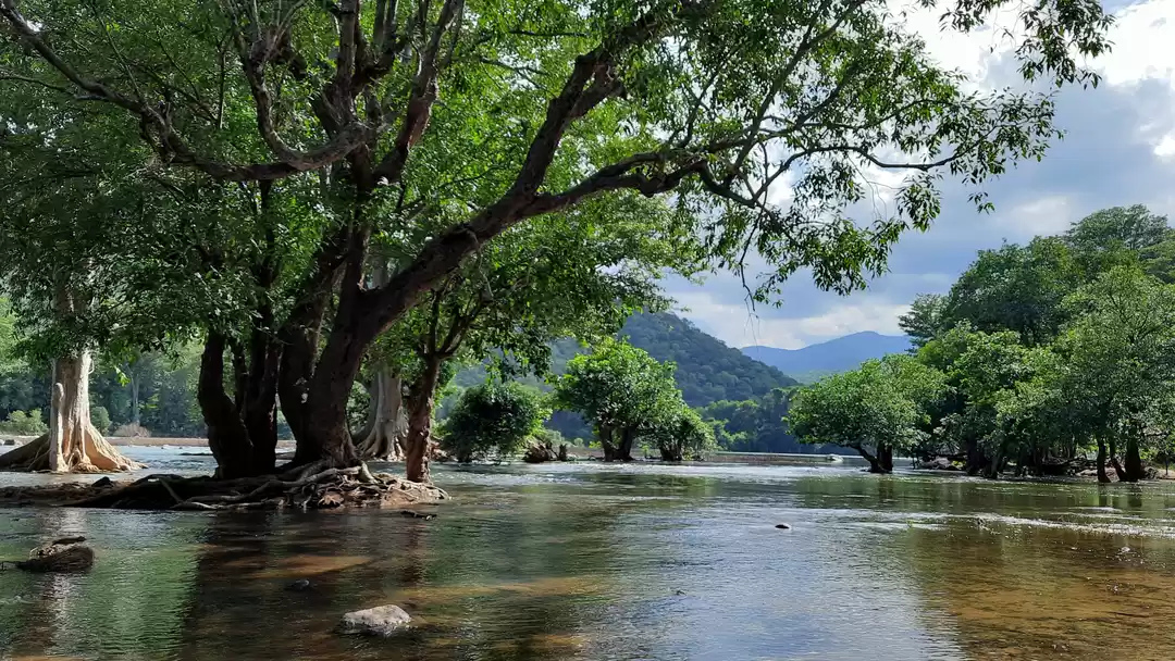 Photo of Top 5 offbeat weeken