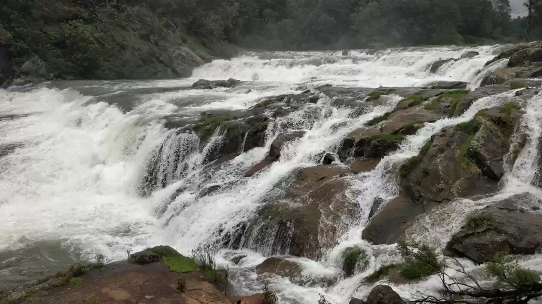 Photo of Ooty trip pykara wat