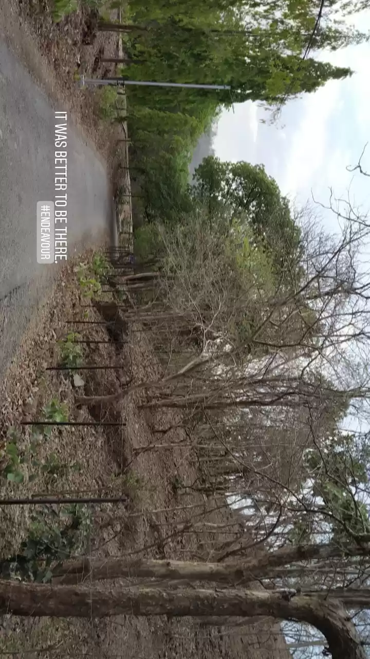 Photo of बिना बारिश पोलो फॉरे