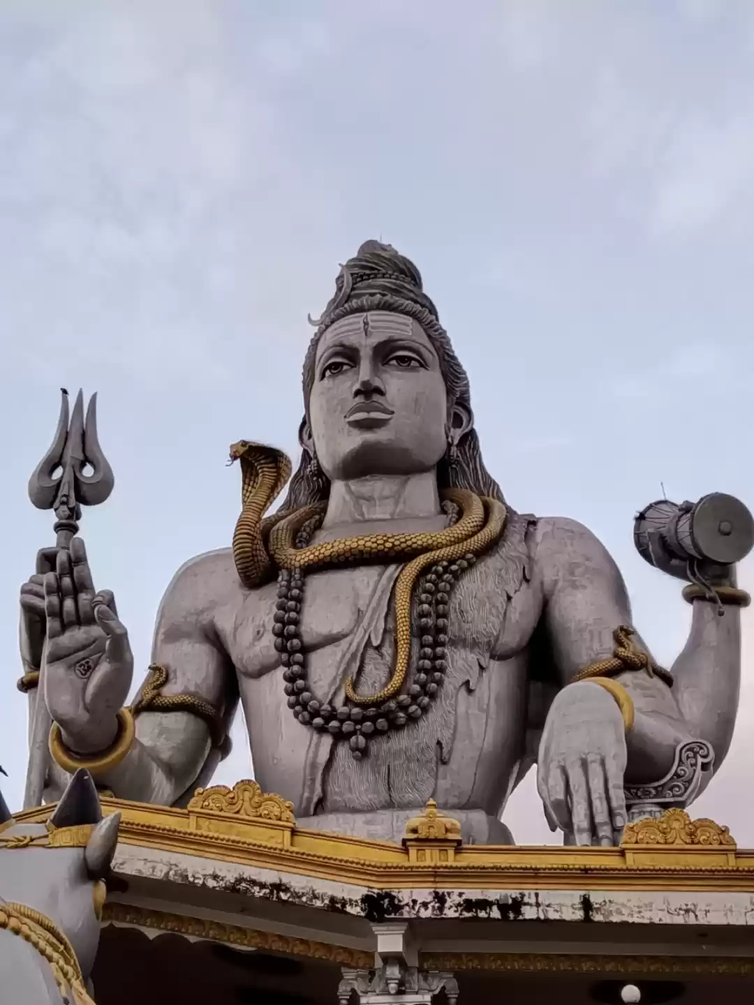 Photo of World's Second Talle