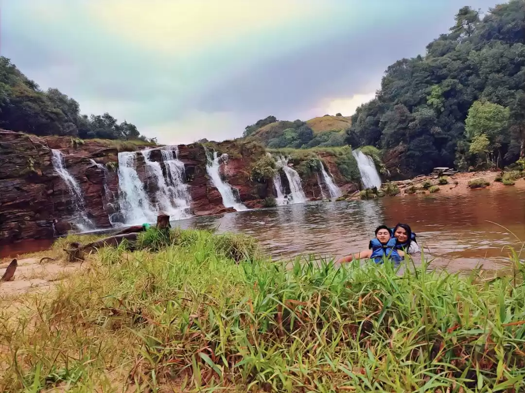 Photo of Natural swimming poo