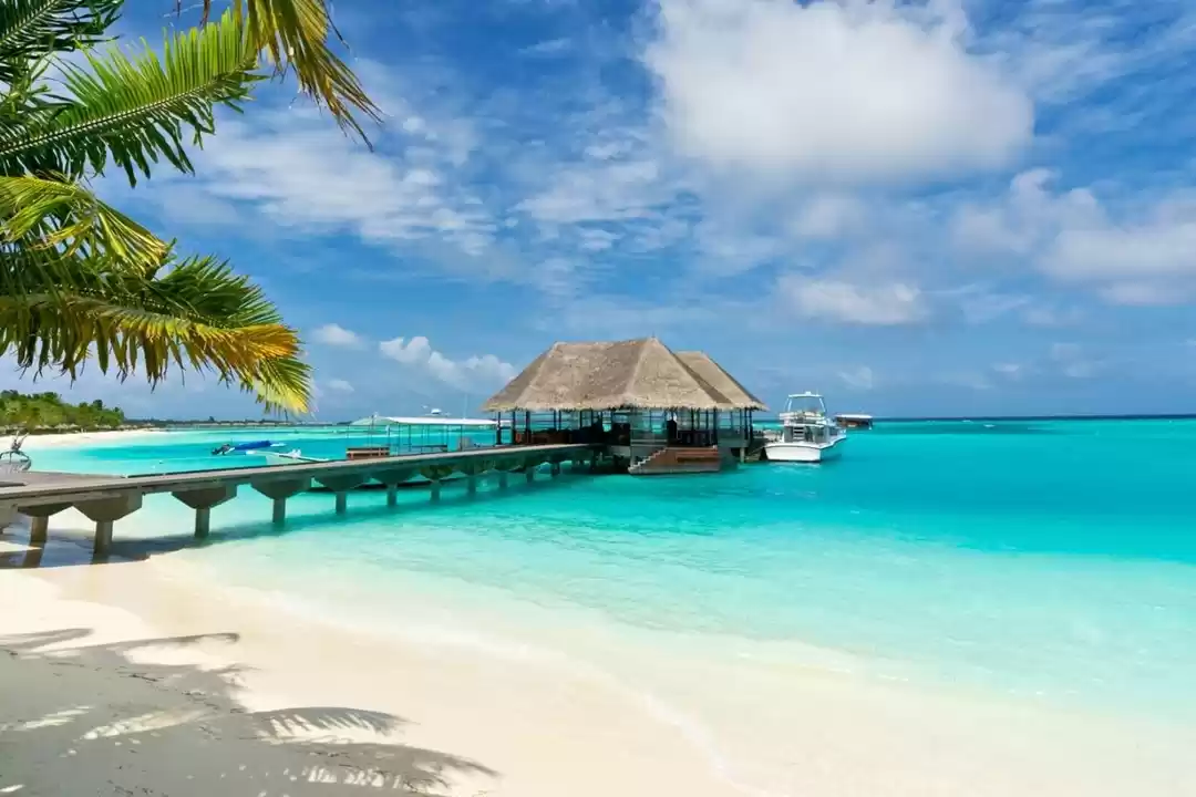 Photo of Maldives Temporarily