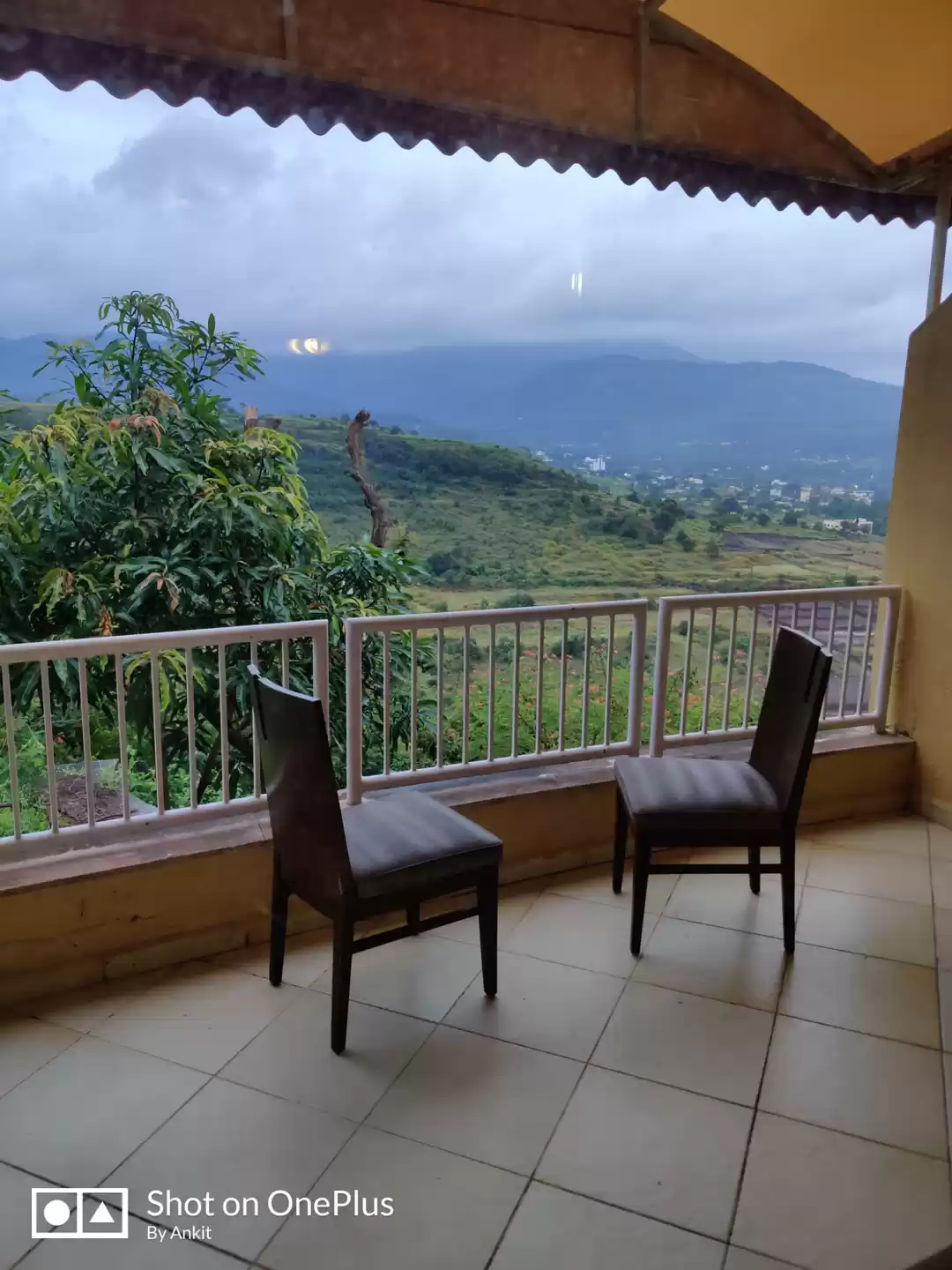 Photo of Why I choose Hills o